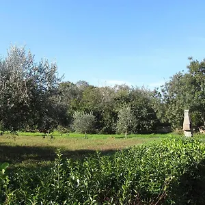 https://apartman-barbara-liznjan.pula-hotels.org